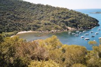 Foto Die Badebucht liegt direkt am Hafen von Port Cros
